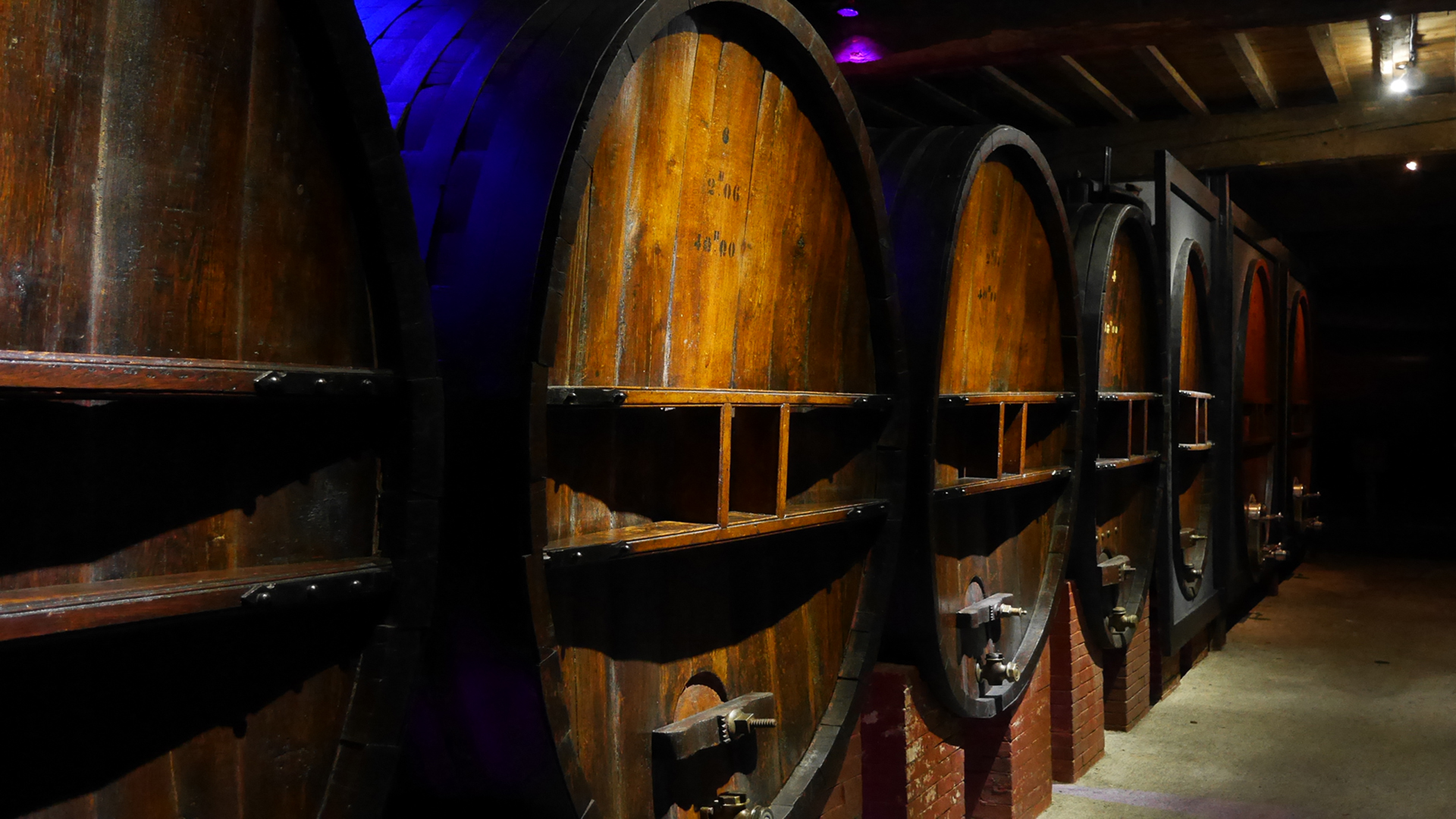 Alignement de grands foudres en bois dans les caves de la Maison Guinot.